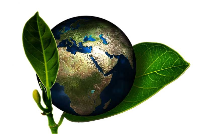 Make Your Commercial Construction Plan More Environmentally Friendly