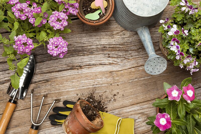 Try Out These Commercial Landscaping Tips for Spring and Summer