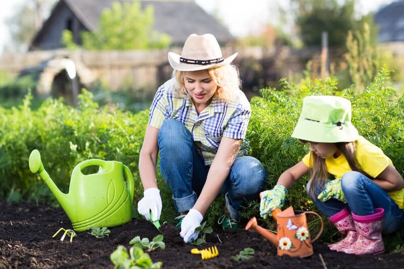 Practice Home Cultivation with Herbs and Vegetables