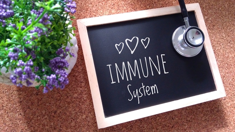 How to Build a Strong Immune System